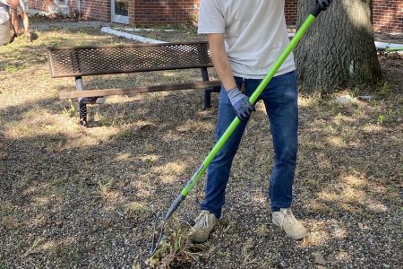 3rd St raking